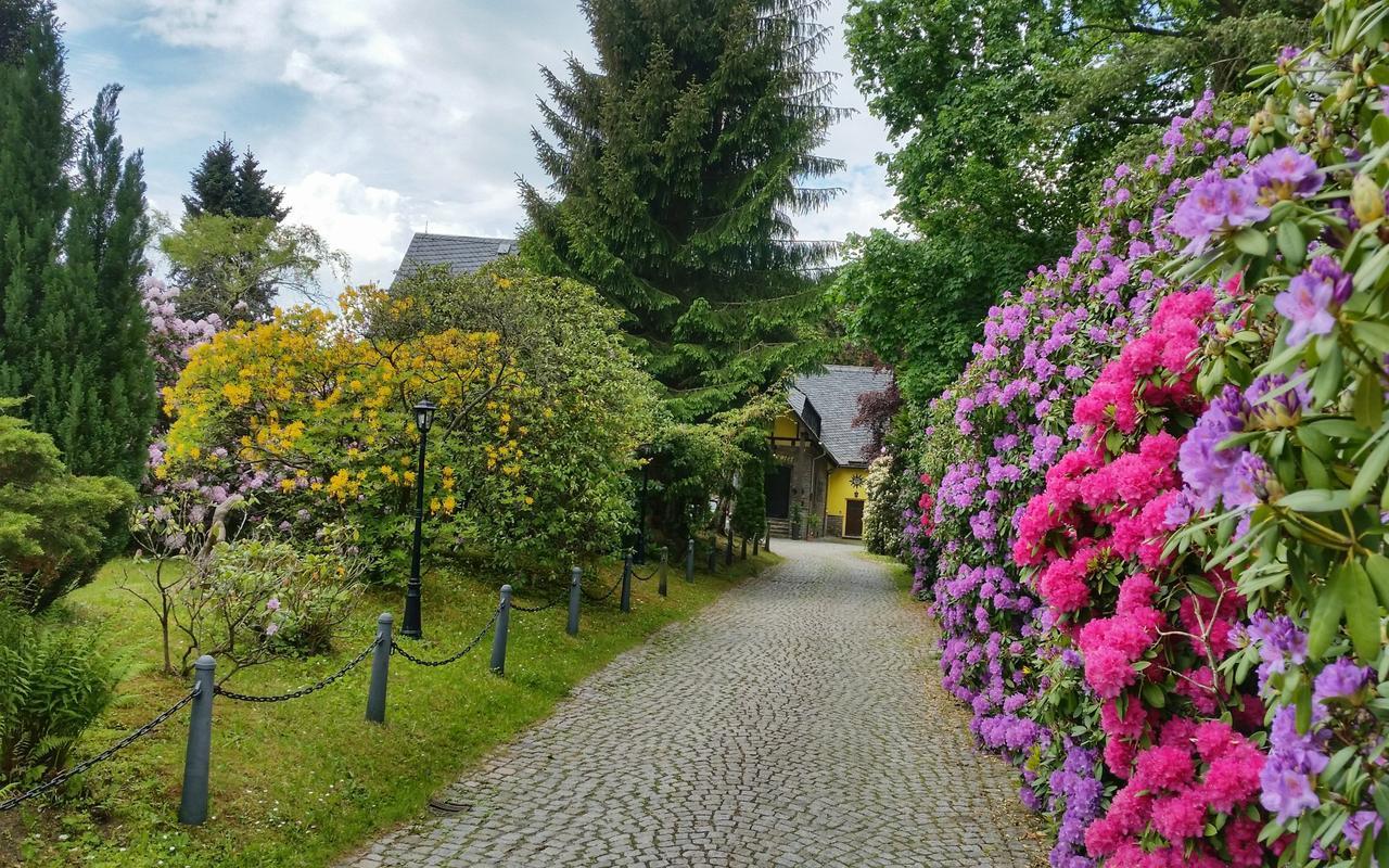 Parkhotel Schwarzenberg - Garni エクステリア 写真